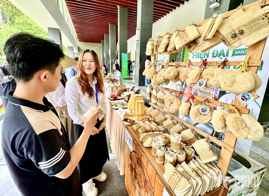 Người trẻ nhiệt huyết với mô hình kinh tế xanh